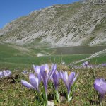 Lago della Duchessa (foto archivio RNR Duchessa)